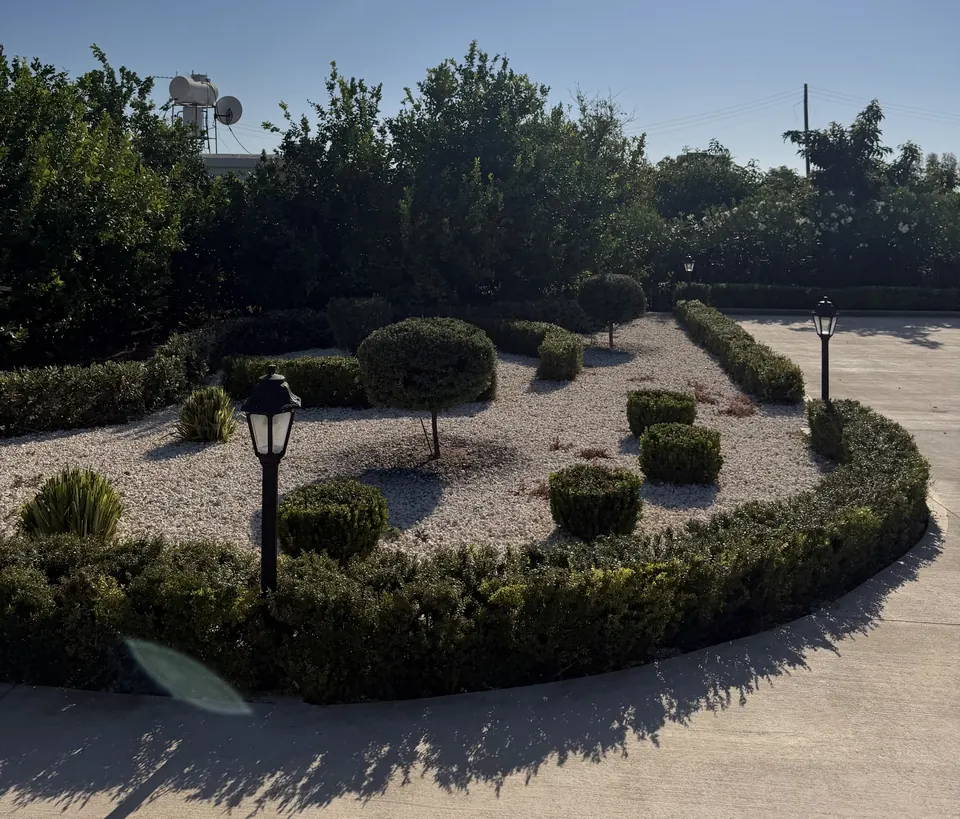 Curved hedge border with topiary