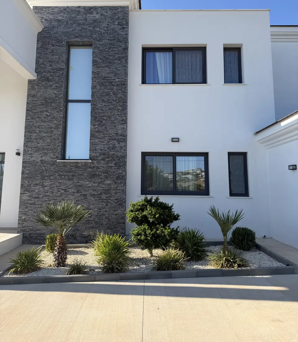 Front bed with palms and white stone